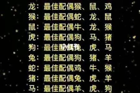 1978年属马的最佳配偶_1978年属马最佳配偶生肖揭秘姻缘幸福配对指南