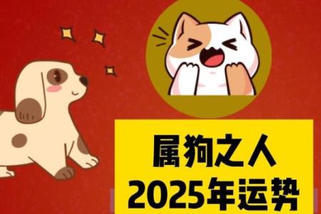 1970年属狗人2025年运势_70年的属狗人在2025年的运势如何