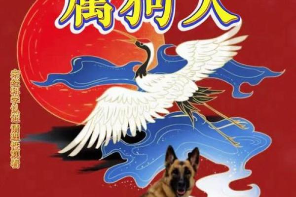 兔死狗烹是什么生肖(兔死狗烹猜生肖) 兔死狗烹是什么生肖(兔死狗烹猜生肖)