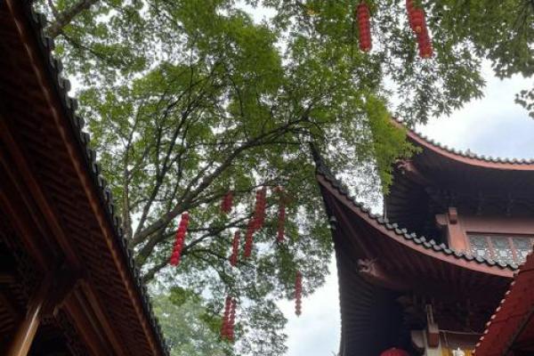 去哪里求姻缘最灵验_最灵验的求姻缘圣地推荐去哪里求姻缘最有效