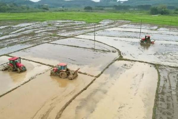正月适合动土吗(正月不可以动土吗)