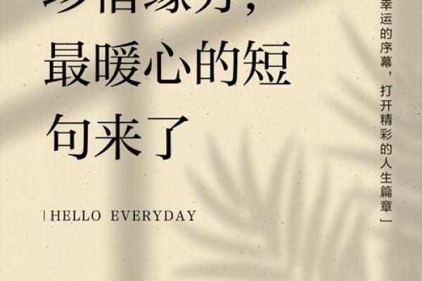 关于缘分的唯美短句 唯美缘分短句30句触动心灵的缘分语录