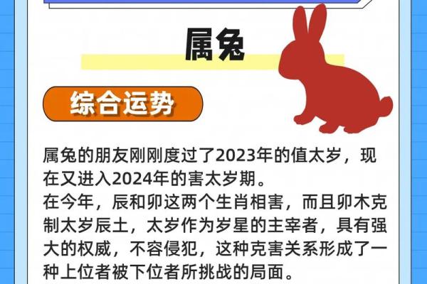2025年属兔的好不好_2025年属兔的好不好
