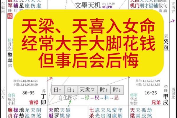 大鸾紫微斗数 大鸾紫微斗数解析揭秘命运玄机与人生运势