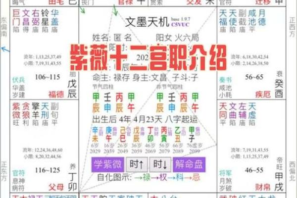 八字子女宫位置解析如何准确找到子女宫 八字子女宫位置解析如何准确找到子女宫