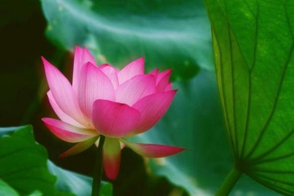 福德宫恩光 福德宫恩光天贵