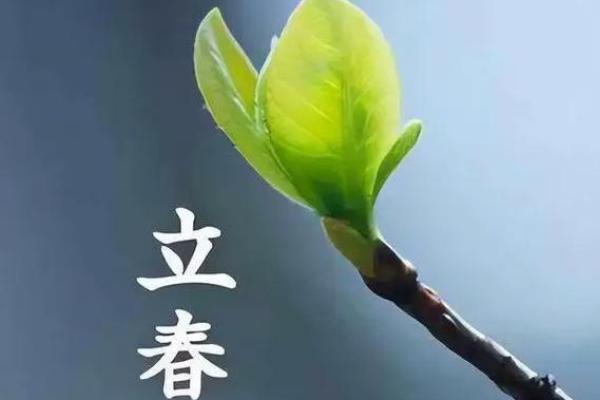 2023立春时间几点几分几秒 2023立春时间几点几分几秒