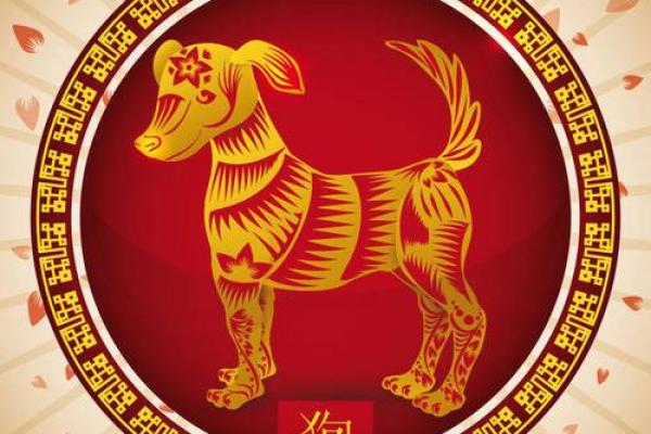 1982年属狗2026年运势详解运程预测与注意事项 1982年属狗2026年运势详解运程预测与注意事项