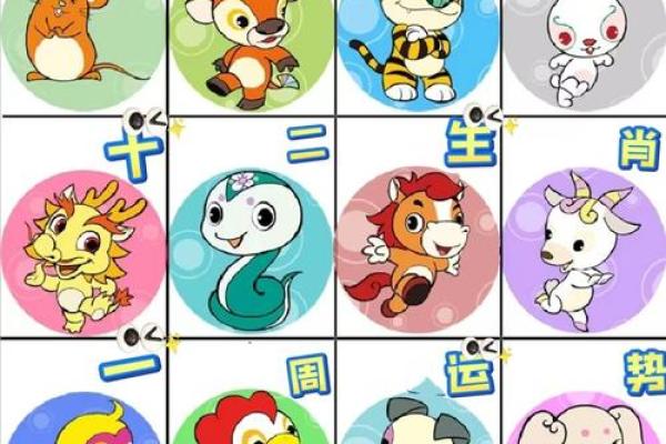 三心二意打一正确生肖(三心二意打一正确生肖是什么) 三心二意打一正确生肖(三心二意打一正确生肖是什么)