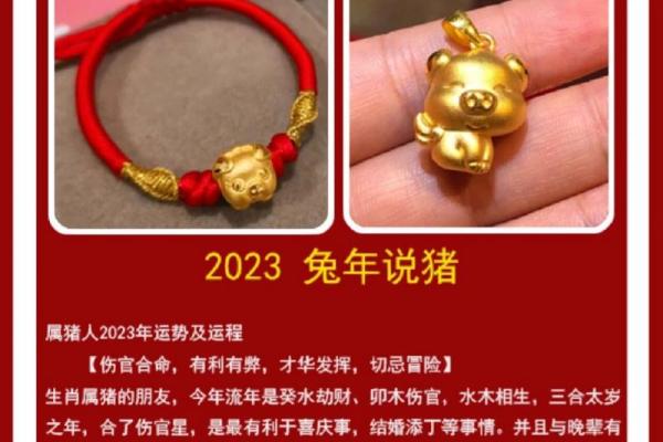 2023年属猪人的全年运势_2023年属猪人的全年运势1983出生 2023年属猪人的全年运势_2023年属猪人的全年运势1983出生
