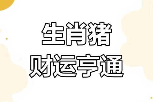 71年属猪今日打牌运势解析财运亨通还是需谨慎