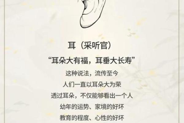 福德宫好的女人特点 福德宫好的女人特点命运与性格的完美结合 福德宫好的女人特点 福德宫好的女人特点命运与性格的完美结合