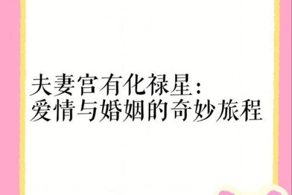 夫妻宫自化禄解析揭秘婚姻幸福的关键密码 夫妻宫自化禄解析揭秘婚姻幸福的关键密码