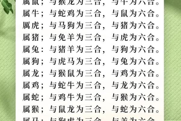 属鸡跟属狗的姻缘怎么样_属鸡与属狗姻缘解析相配指数与婚姻幸福秘诀