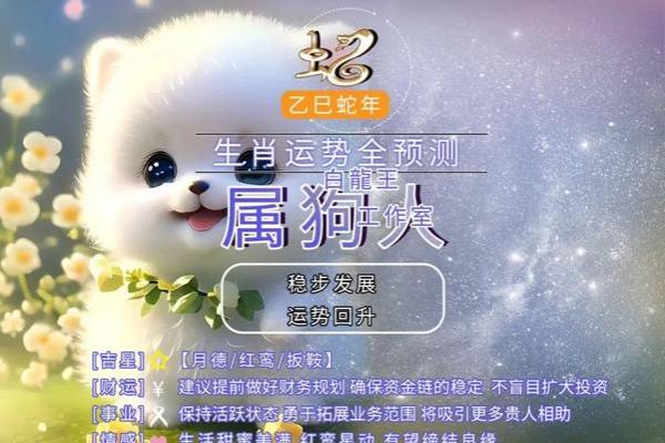 82年2025年属狗人的全年运势_2025属狗要小心一个人 82年2025年属狗人的全年运势_2025属狗要小心一个人