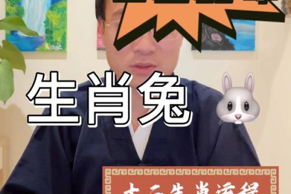 2025年87属兔运势详解运程预测与吉凶分析 2025年87属兔运势详解运程预测与吉凶分析