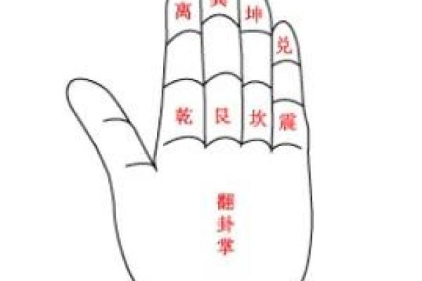 夫妻宫有左辅星_夫妻宫有左辅星女命