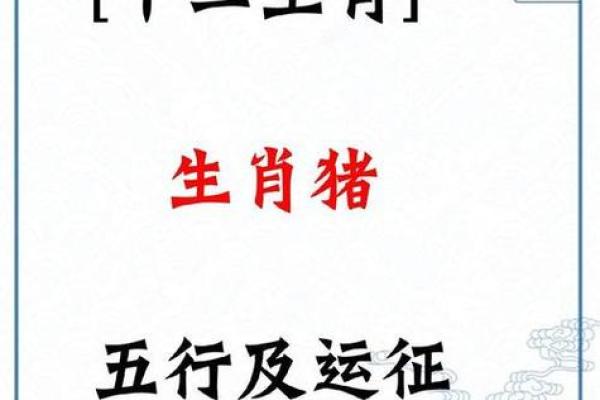 2025猪的全年运势如何_2025猪的全年运势如何呢佩戴什么好