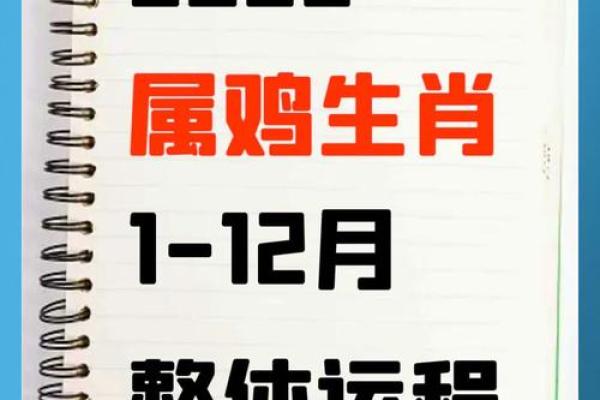 2026年属鸡的运势_2026年属鸡运势详解财运事业爱情全面解析