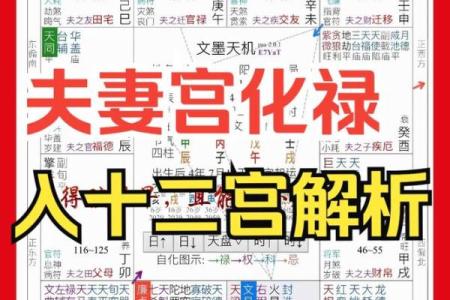 夫妻宫化忌是什么意思_夫妻宫冲运怎么化解