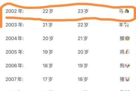 2002年属马人2025年运势解析财运事业健康全解