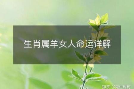 属羊女人的命运与婚姻_十个羊女九克夫