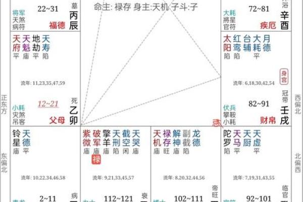 父母宫化忌 父母宫化忌入田宅宫 父母宫化忌 父母宫化忌入田宅宫