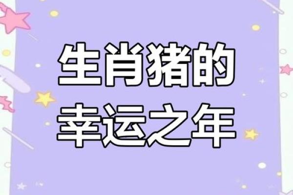 2025年属猪女运势1971年_属猪人2025年运程