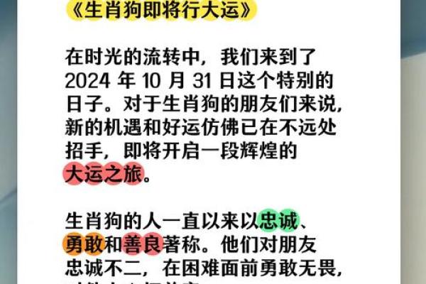 狗今年的运势如何2025_2025年狗年运势解析财运健康感情全预测 狗今年的运势如何2025_2025年狗年运势解析财运健康感情全预测