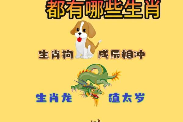 属狗今年犯太岁吗2025 属狗今年是否犯太岁