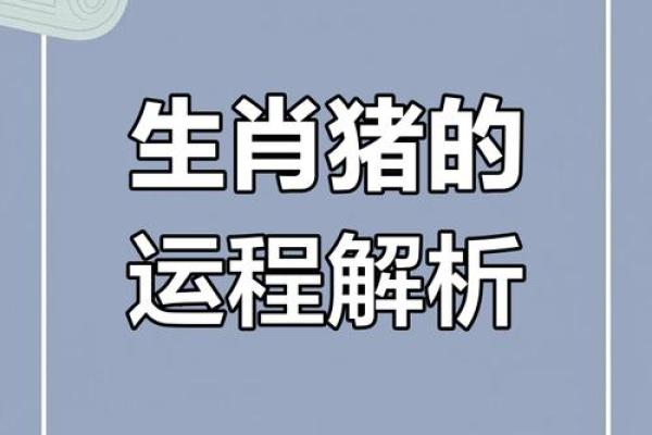 属猪的2025年多大了_属猪的2025年多大了 属猪的2025年多大了_属猪的2025年多大了