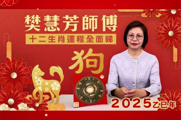属狗女2025年的运势和婚姻_属狗女2025年的运势和婚姻怎么样