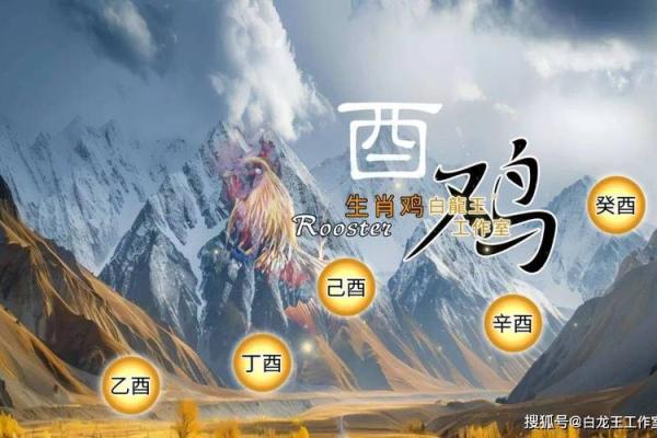 属鸡人2025年每月运势及运程详解 81属鸡2025年每月运势完整版
