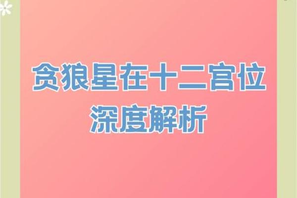 夫妻宫 贪狼_夫妻宫贪狼解析婚姻运势与情感指南
