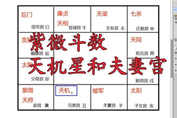 夫妻宫位置图解精准定位与详细解析 夫妻宫位置图解精准定位与详细解析