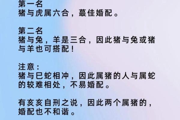 属猴跟属猪的姻缘怎么样_属猴跟属猪的姻缘怎么样二婚
