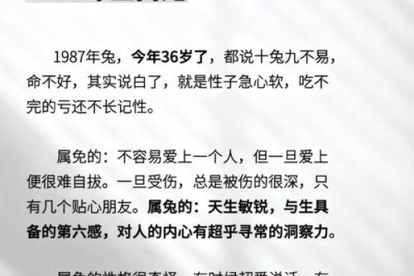 2025年兔运势运程1987年的兔_2025兔子的全年运势如何