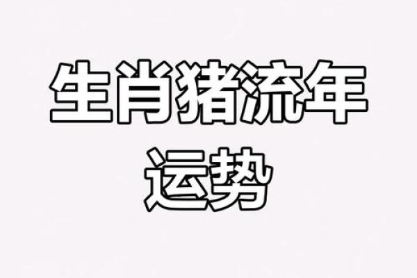 1971年2024年属猪人的全年运势_1971年猪人2022年运势 1971年2024年属猪人的全年运势_1971年猪人2022年运势