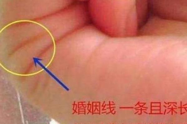 什么叫二婚线女人_女人二婚线看哪只手 什么叫二婚线女人_女人二婚线看哪只手