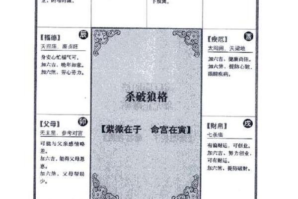 2025年2月25日丑时男命紫微斗数全解盘 2025年2月25日丑时男命紫微斗数全解盘