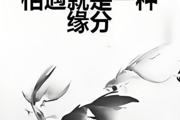 缘分让你我相遇_缘分让你我相遇是意外命运却要我们危难中相爱 缘分让你我相遇_缘分让你我相遇是意外命运却要我们危难中相爱