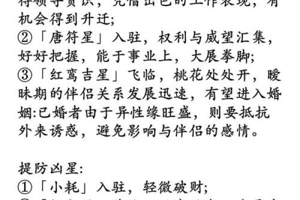 2025年属狗人的全年运势1982出生 2025年属狗人全年运势解析1982年出生者必看