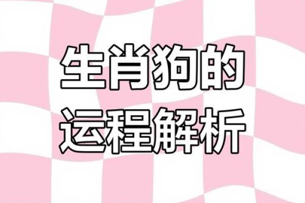2025年属相狗运势_2025年属相狗运势详解财运事业感情全解析