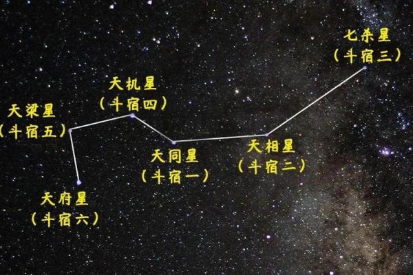 夫妻宫天相星 夫妻宫天相星解析婚姻运势与命理奥秘 夫妻宫天相星 夫妻宫天相星解析婚姻运势与命理奥秘