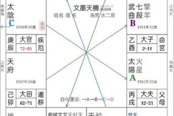 北派紫微斗数_北派紫微斗数揭秘古老命理学的现代应用