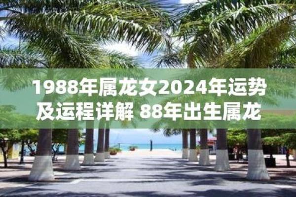 1988年属龙人今年命运 1988年属龙人今年运势 1988年属龙人今年命运 1988年属龙人今年运势