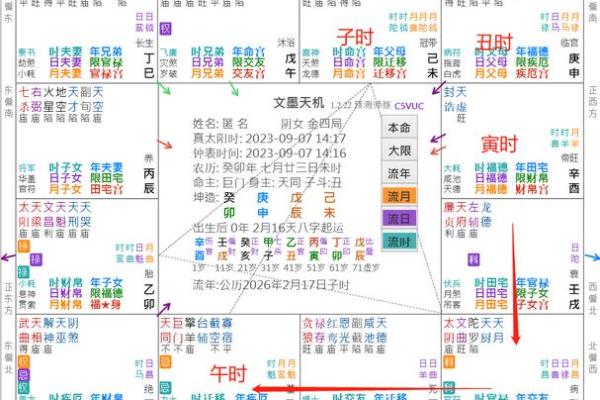 2025年3月28日子时女命紫微斗数全解盘 2025年3月28日子时女命紫微斗数全解盘