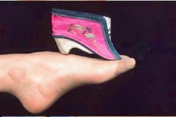 三寸金莲是什么生肖(三寸金莲是什么生肖动物) 三寸金莲是什么生肖(三寸金莲是什么生肖动物)