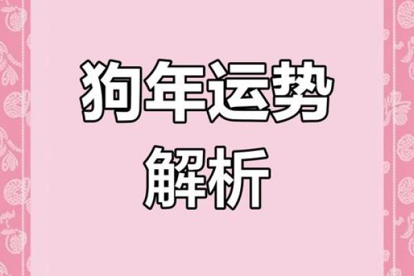 2025年属狗人的全年运势详解_2025年属狗人全年运势详解事业财运健康全解析