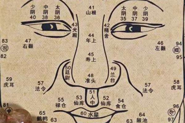 免费八字测官运和官位_免费八字测官运和官位哪个准